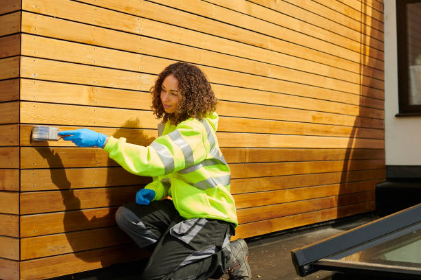 Best Siding for New Construction  in Capitan, NM