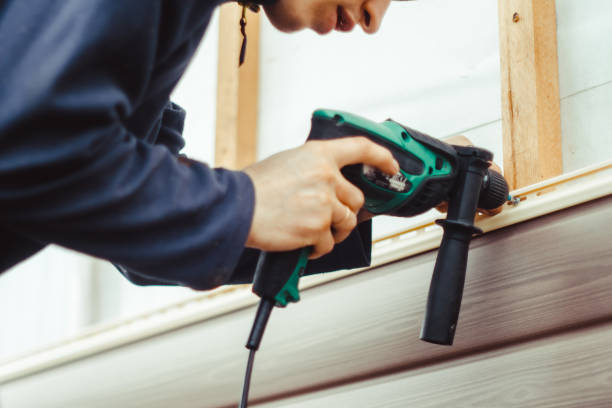 Best Vinyl Siding Installation  in Capitan, NM